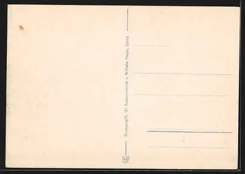 AK Zürich, Zürichseegefrörne 1929, der zugefrorene Zürichsee aus der Vogelschau