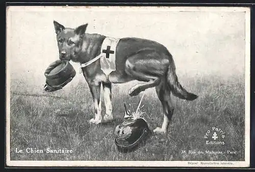 AK Le Chien Sanitaire, Sanitätshund pinkelt auf eine Pickelhaube