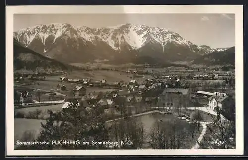 AK Puchberg am Schneeberg, Teilansicht mit Strassenpartie