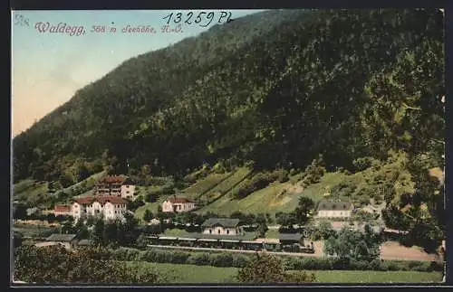 AK Waldegg /N.-Ö., Ortspartie mit Eisenbahn