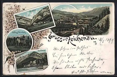 Lithographie Reichenau an der Rax, Schloss Wartholz, Kurhaus, Talhof, Ortsansicht