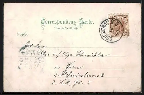 Lithographie Reichenau an der Rax, Schloss Wartholz, Kurhaus, Talhof, Ortsansicht