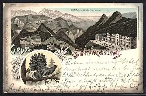 Lithographie Semmering, Südbahnhotel, Auerhahn