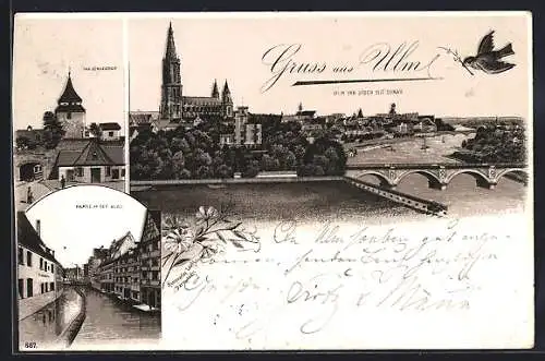 Lithographie Ulm / Donau, Totalansicht von Süden, Partie an der Blau & Zündelthor