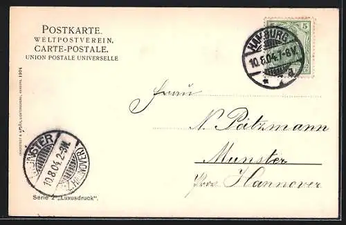 AK Hamburg-St.Georg, Schiffe an der Alsterlust
