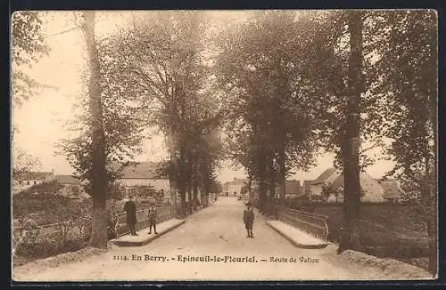 AK Epineuil-le-Fleuriel, Route de Vallon en Berry