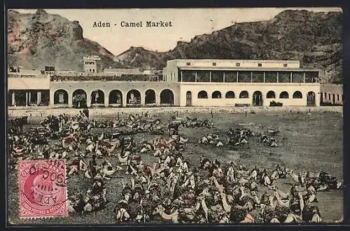 AK Aden, Camel Market