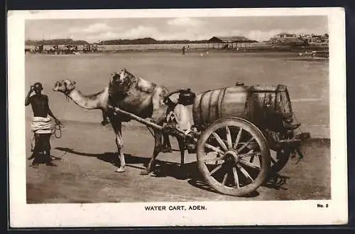 AK Aden, Water Cart, Camel