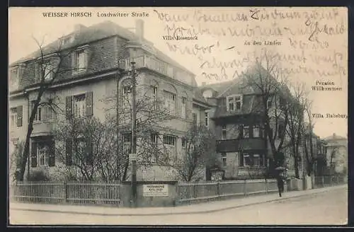 AK Weisser Hirsch /Dresden, Pension Willkommen in der Loschwitzer Strasse, Villen Roseneck, Zu den Linden, Villa Habsburg