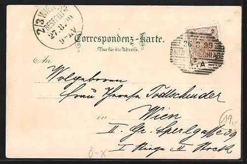 Lithographie Neuberg /Steiermark, Ortsansicht bei Nacht