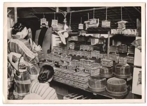 Fotografie Schostal, Ansicht Tokio - Tokyo, Ginzastrasse, Marktstand bietet zirpende Insekten in Käfigen zum Verkauf an