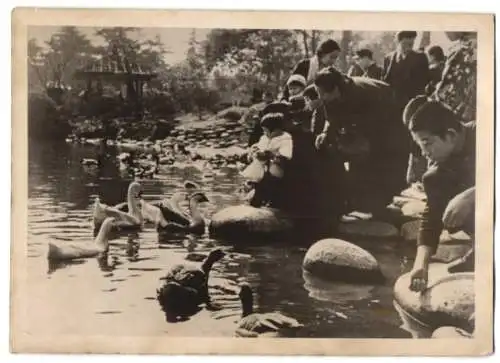 Fotografie Schostal, Ansicht Tokio - Tokyo / Japan, Hibiya-Park, Familien füttern Enten & Gänse 1940