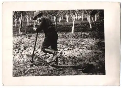 Fotografie Bauer pflügt einen Acker mit dem Schreitpflug 1941