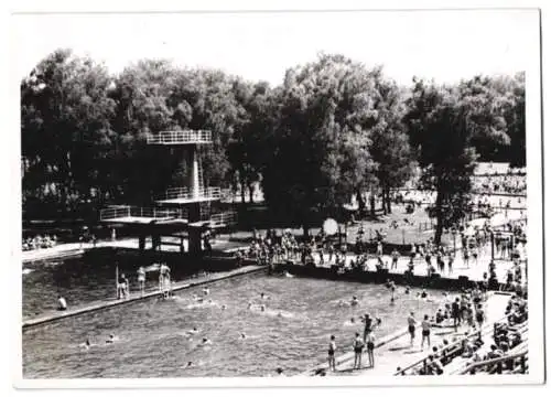 Fotografie Schostal, Ansicht Wien, Stadion-Bad, Freibad mit Sprungturm im Sommer