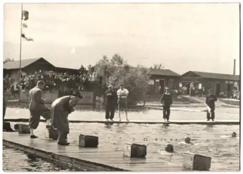 Fotografie Sturm, Ansicht Wien, Werbeschwimmfest im Klubbad des Schwimmklubs Donau