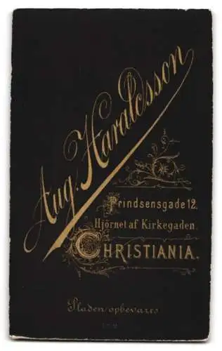 Fotografie Aug. Haraldsson, Christiania, Prindsensgade 12, Porträt eines Mannes mit Bart