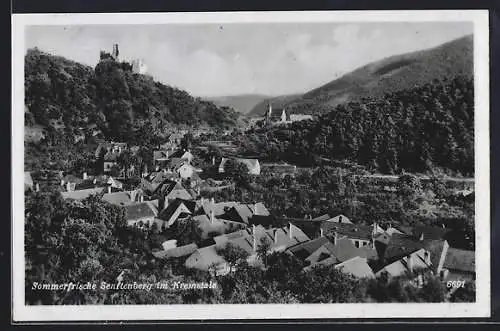 AK Senftenberg im Kremstale, Ortsansicht vom Berg aus