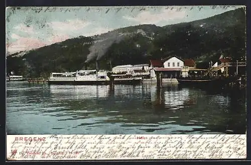 AK Bregenz, Hafen mit Dampfern