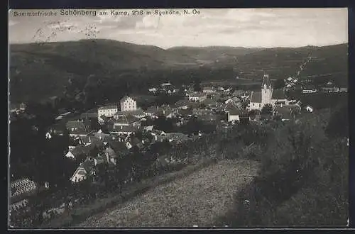 AK Schönberg /N.-Oe., Gesamtansicht vom Berg aus