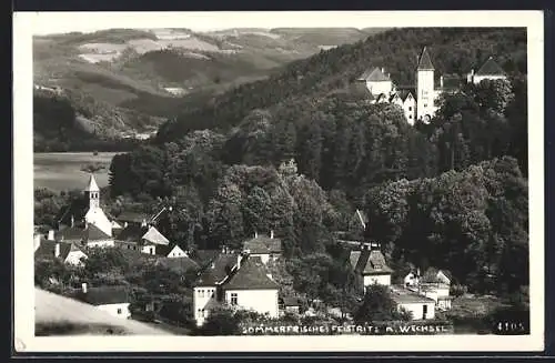 AK Feistritz a. Wechsel, Panorama