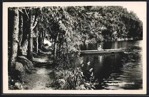 AK Litschau /N.-Oe., Teichpromenade und eine Frau im Ruderboot