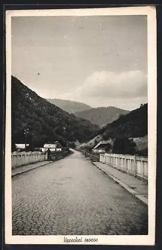 AK Vereckei szoros, Strassenpartie mit Blick in die Berge