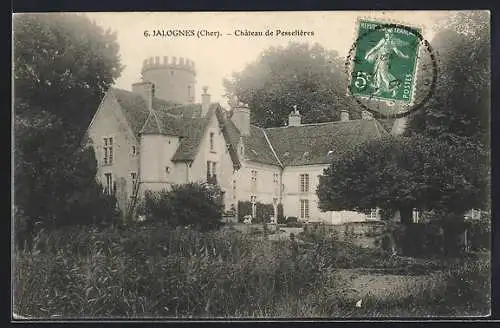 AK Jalognes, Château de Pesselières