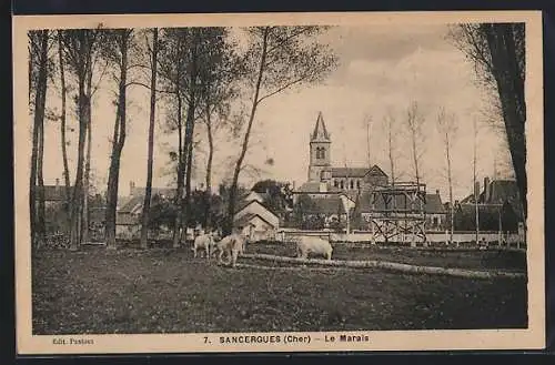 AK Sancergues, Le Marais avec église et prairie au premier plan