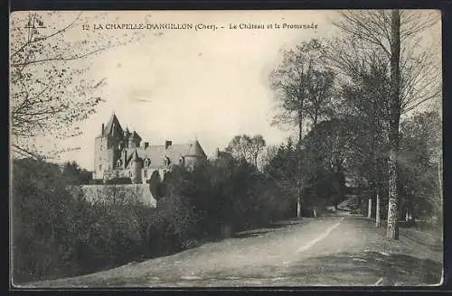 AK La Chapelle-d`Angillon, Le Château et la Promenade