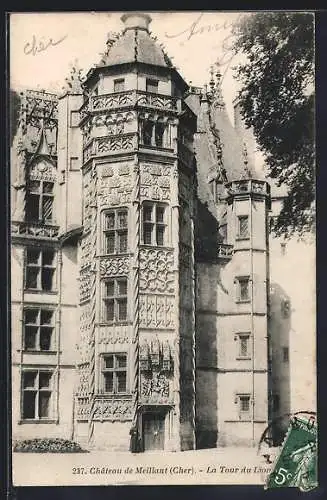 AK Meillant, La Tour du Lion du Château de Meillant (Cher)