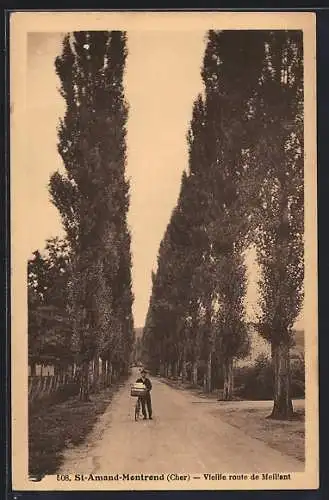 AK St-Amand-Montrond, Vieille route de Meillant avec rangée d`arbres et cycliste