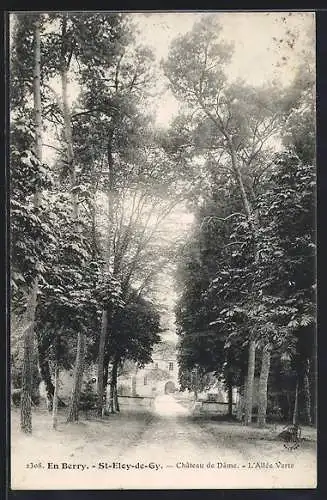 AK Saint-Eloy-de-Gy, Château de Dame, L`Allée Verte