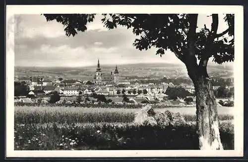 AK Wischau / Vyskov, Celkový pohled