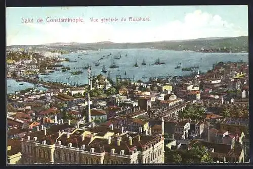 AK Constantinople, Vue generale du Bosphore