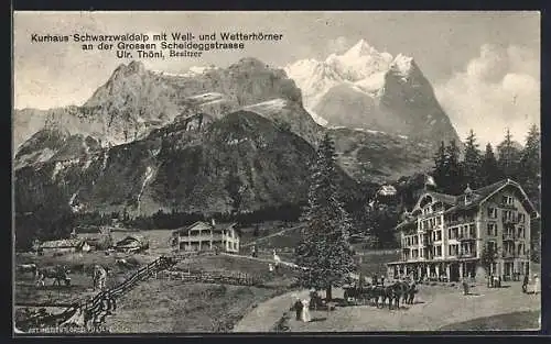 AK Meiringen, Kurhaus Schwarzwaldalp mit Well- und Wetterhörner an der Grossen Scheideggstrasse