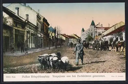 AK Kragujevac, Von den Verbündeten genommen, eine Hauptstrasse mit Kutschen und Schafen