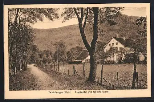 AK Heidental /Teutoburger Wald, Ortspartie mit Oberförsterei