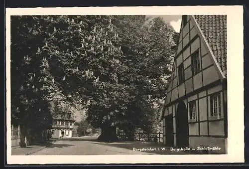 AK Burgsteinfurt i. W., Burgstrasse mit Schlossmühle, Fachwerkhaus