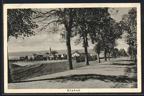 AK Hlubos, Landstrasse mit Blick zum Ort