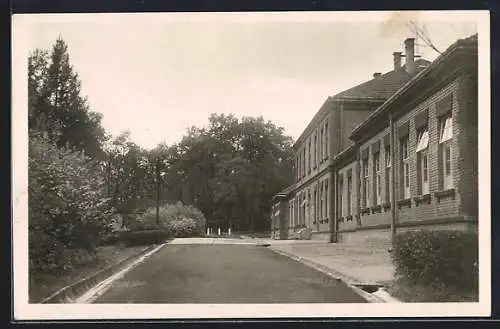 AK Milowitz / Milovice, Strasse im Truppenübungsplatz