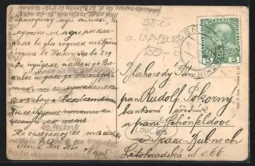 AK Loucen, Celkový pohled