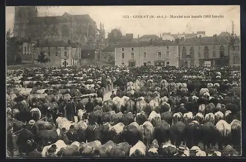 AK Cholet, Marché aux boeufs avec 1600 boeufs devant l`église et les maisons environnantes