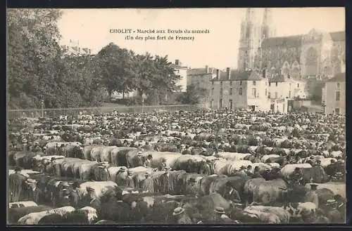 AK Cholet, Marché aux Boeufs du samedi, vue de l`un des plus grands marchés de France