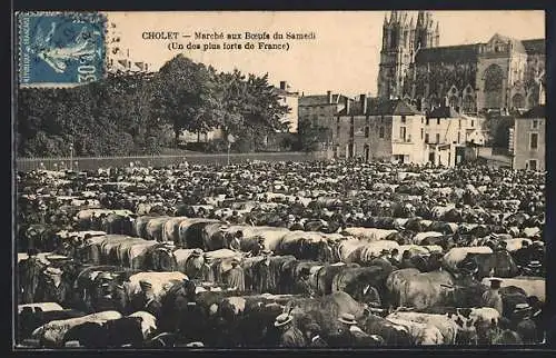 AK Cholet, Marché aux Bœufs du Samedi (Un des plus forts de France)