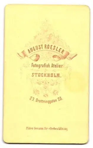 Fotografie August Roesler, Stockholm, Drottninggatan 23, Porträt einer Dame mit Schleife am Kragen