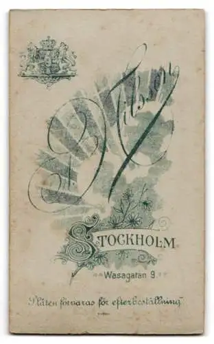 Fotografie N. Nilsson, Stockholm, Wasagatan 9, Dame mit Stock vor gemalter Landschaft