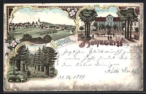 Lithographie Hohegeiss, Hotel Ebersberg, Waldpartie an den dicken Tannen, Totalansicht aus der Ferne