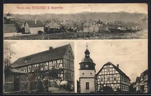 AK Neustadt b. Wammen, Totelansicht, Gehöft und Fachwerkhäuser