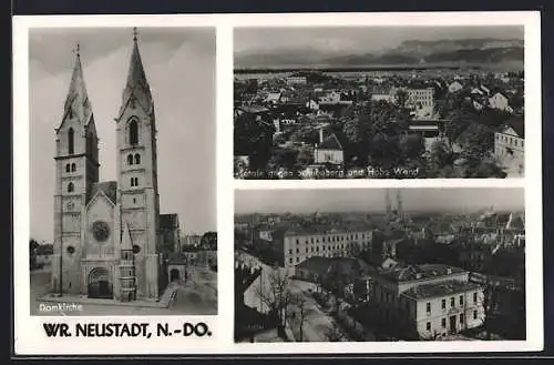 AK Wiener Neustadt, Domkirche, Totale gegen Schneeberg und Hohe Wand