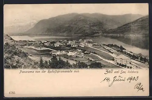 AK Zell am See, Panorama von der Rudolfspromenade aus